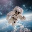 spacedragon